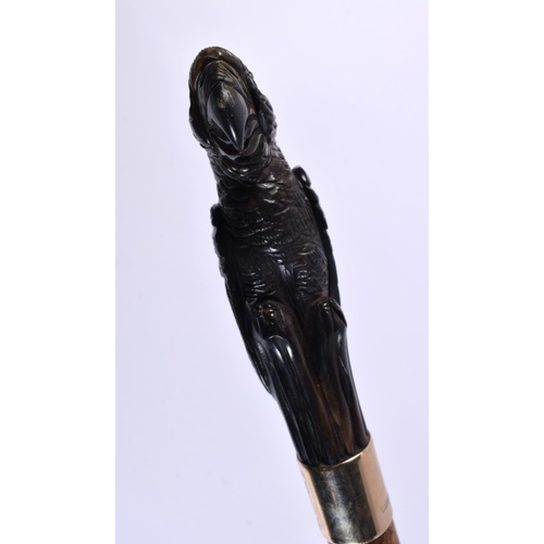 818 - A CARVED HORN PARROT HEAD WALKING CANE. 90cm long.