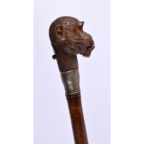 822 - A RARE ANTIQUE SILVER MOUNTED ARTICULATED TREEN MONKEY HEAD WALKING CANE. 90cm long.