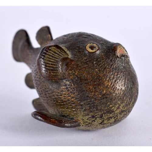 1010 - A RARE 19TH CENTURY AUSTRIAN VIENNA COLD PAINTED BRONZE PUFFER FISH in the manner of Franz Xavier Be... 