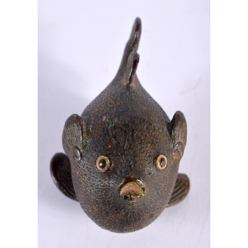 1010 - A RARE 19TH CENTURY AUSTRIAN VIENNA COLD PAINTED BRONZE PUFFER FISH in the manner of Franz Xavier Be... 