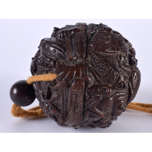 1364 - A JAPANESE CARVED WOOD INSECT INRO. 78 grams. 6 cm wide.