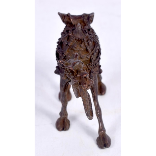 1427 - A BRONZE MODEL OF A CAMEL.  8.3cm x 3cm x 5.5cm, weight 131.4g