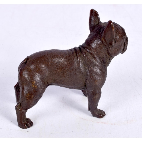 1433 - A BRONZE BULLDOG.  7.7cm x 6.5cm x 3.2 cm, weight 310g