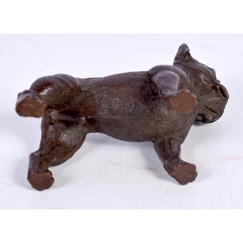 1433 - A BRONZE BULLDOG.  7.7cm x 6.5cm x 3.2 cm, weight 310g