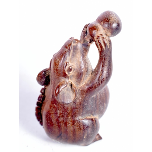 1449 - A JAPANESE CARVED HARDWOOD FIGURE OF A RAT DRINKING FROM A GOURD.  5cm x 2.8 cm x 2.5cm, weight 18.2... 