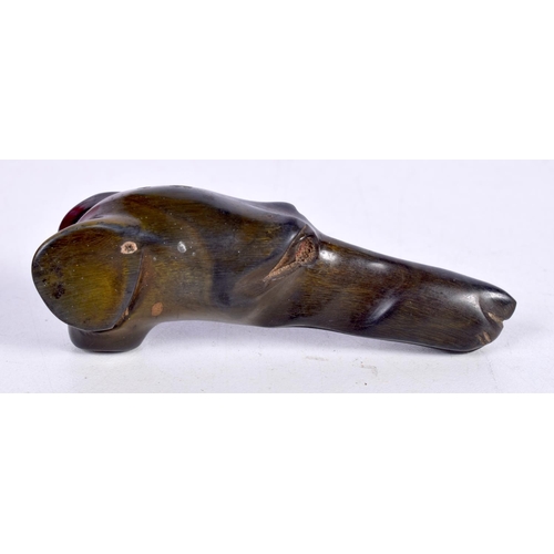 1503 - A HORN PARASOL / CANE HANDLE CARVED AS A DOGS HEAD.  7.6 cm x 2 cm x 2.5cm, weight 21.8g