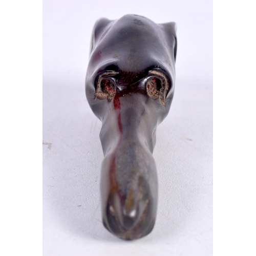 1503 - A HORN PARASOL / CANE HANDLE CARVED AS A DOGS HEAD.  7.6 cm x 2 cm x 2.5cm, weight 21.8g