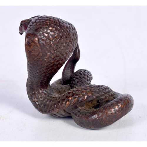 1548 - A JAPANESE BRONZE COBRA.  3.9cm x 4.3cm x 3cm, weight 92g