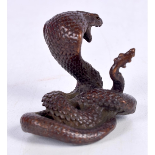 1548 - A JAPANESE BRONZE COBRA.  3.9cm x 4.3cm x 3cm, weight 92g