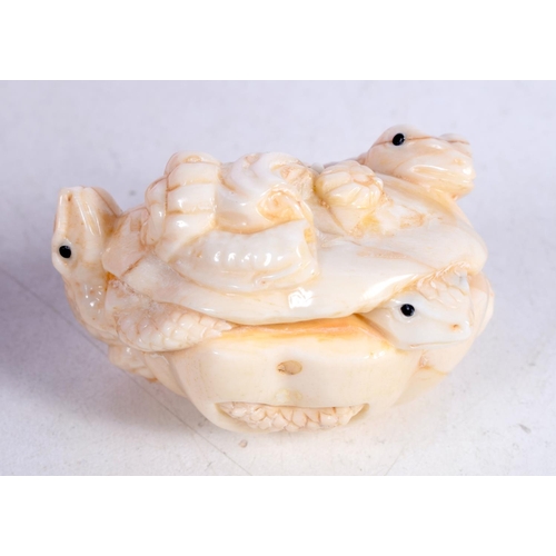 1556 - A JAPANESE BONE TOAD NETSUKE. 57 grams. 5 cm x 3.75 cm.