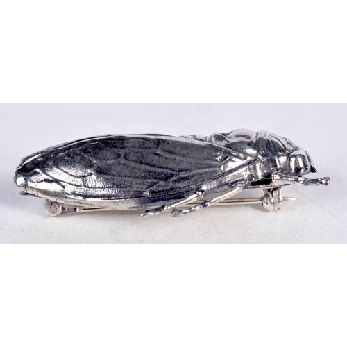 1712 - A SILVER LOCUST BROOCH. 15 grams. 4.5 cm x 2 cm.