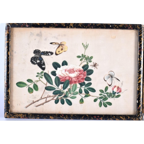 2036 - Chinese School (19th Century) Pair, Pith paper, butterflies in landscapes. 26 cm x 20cm.