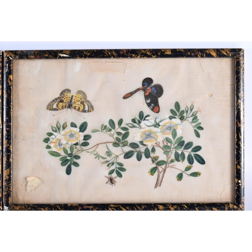 2036 - Chinese School (19th Century) Pair, Pith paper, butterflies in landscapes. 26 cm x 20cm.