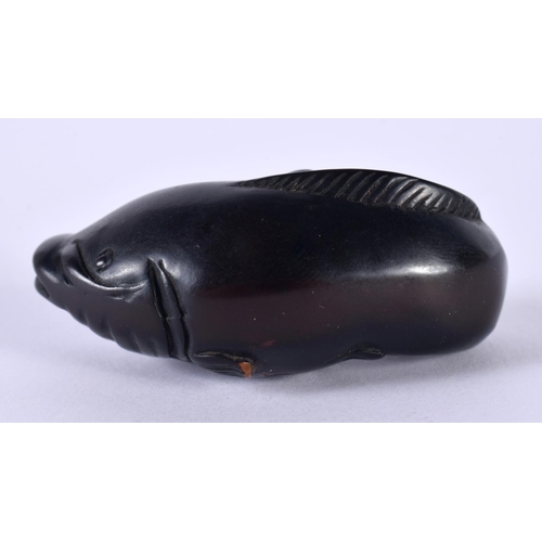 2168 - A 19TH CENTURY JAPANESE MEIJI PERIOD CARVED WOOD NETSUKE formed as a catfish. 5.5 cm x 3 cm.