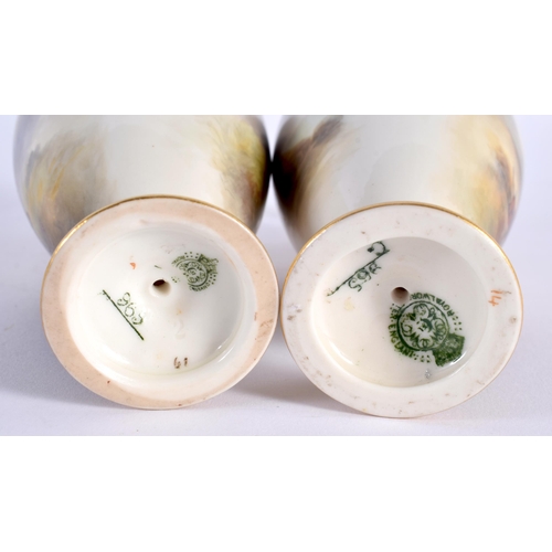 35 - A VERY FINE PAIR OF ROYAL WORCESTER RETICULATED PORCELAIN EWERS C1903 painted with cattle in landsca... 