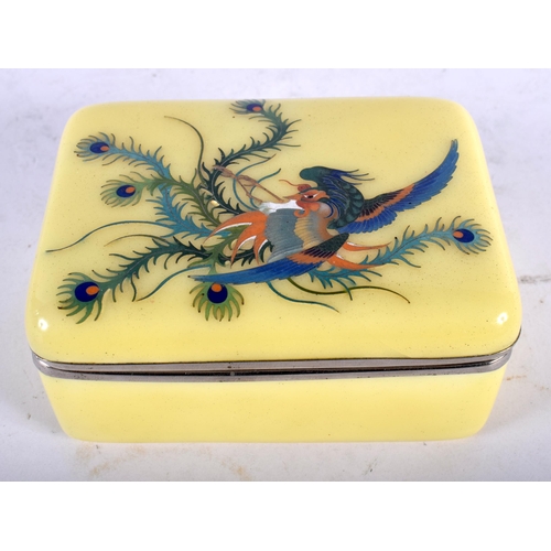 115 - AN EARLY 20TH CENTURY JAPANESE MEIJI PERIOD CLOISONNE ENAMEL BOX AND COVER depicting an exotic birds... 