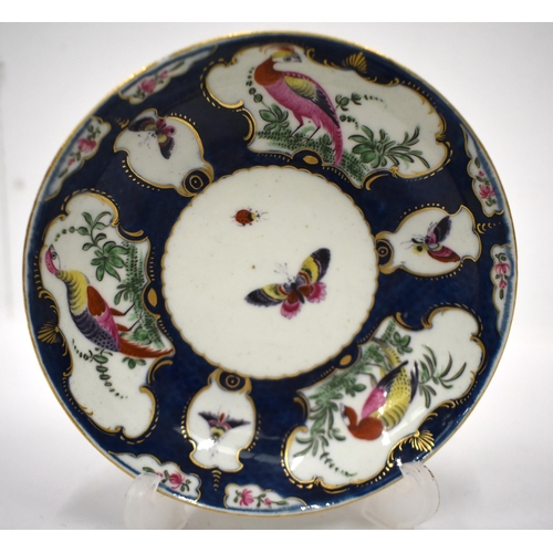 234 - 18th century Worcester teacup and saucer painted with a Big Eyed Birds in mirror panels on a blue ... 