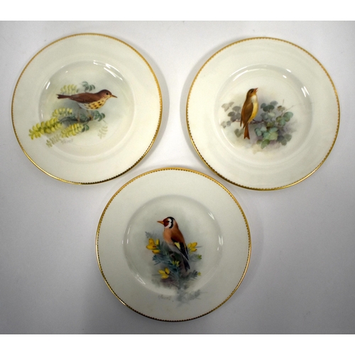 240 - Royal Worcester set of three plates painted with garden birds, Thrush, Goldfinch and Nightingale, si... 