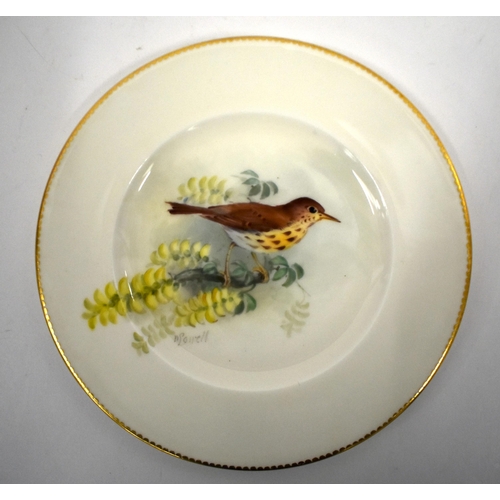 240 - Royal Worcester set of three plates painted with garden birds, Thrush, Goldfinch and Nightingale, si... 