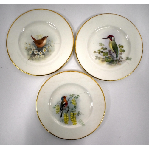 241 - Royal Worcester set of three plates painted with garden birds, Chaffinch, Wren and Woodpecker, signe... 