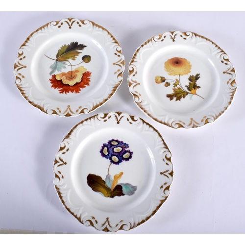 33 - A SET OF SIX EARLY 19TH CENTURY ENGLISH PORCELAIN BOTANICAL PLATES. 21 cm diameter. (6)