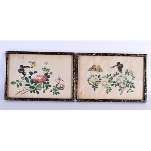 359 - Chinese School (19th Century) Pair, Pith paper, butterflies in landscapes. 26 cm x 20cm.