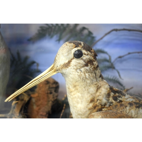 484 - A LATE VICTORIAN TAXIDERMY GROUP OF THREE BIRDS including a parrot. 50 cm x 42 cm.