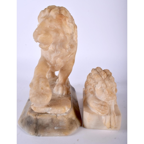 518 - A LARGE 19TH CENTURY ITALIAN GRAND TOUR CARVED ALABASTER FIGURE OF A LION together with a similar sm... 