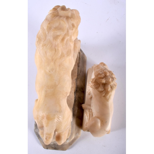 518 - A LARGE 19TH CENTURY ITALIAN GRAND TOUR CARVED ALABASTER FIGURE OF A LION together with a similar sm... 