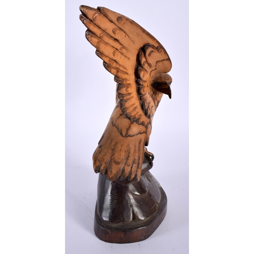 519 - AN ANTIQUE BAVARIAN BLACK FOREST CARVED WOOD HAWK. 21 cm x 13 cm.