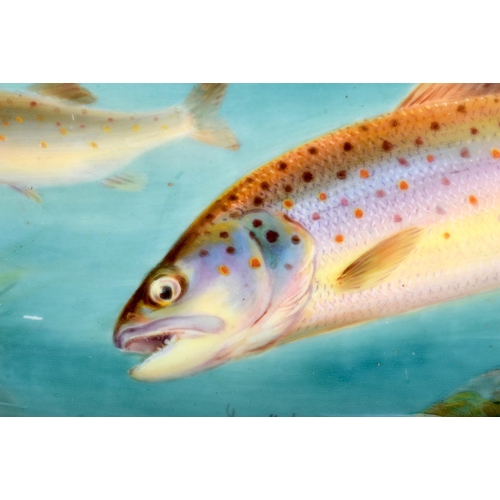 522C - A LOVELY ROYAL WORCESTER PORCELAIN TROUT PLATTER by Harris Davis. 48 cm x 20 cm.