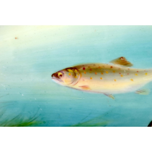 522C - A LOVELY ROYAL WORCESTER PORCELAIN TROUT PLATTER by Harris Davis. 48 cm x 20 cm.