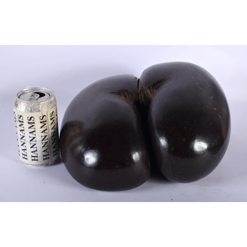 560 - A VERY LARGE COCO DE MER NUT. 30 cm x 27 cm.