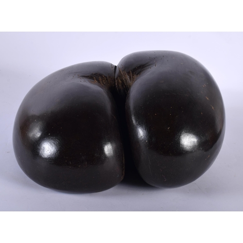 560 - A VERY LARGE COCO DE MER NUT. 30 cm x 27 cm.