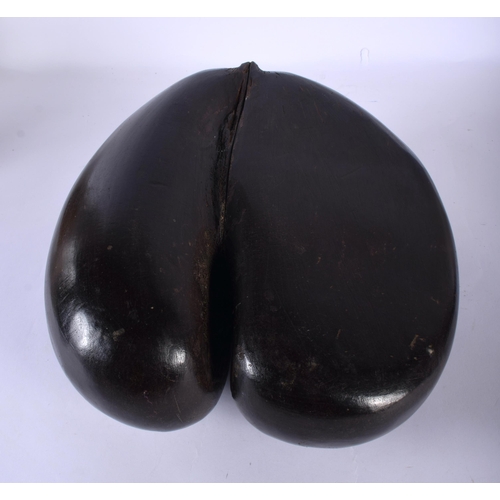 560 - A VERY LARGE COCO DE MER NUT. 30 cm x 27 cm.