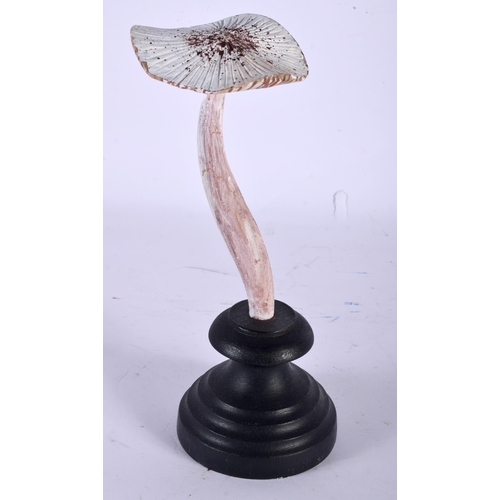 578 - A FOLK ART CARVED AND PAINTED WOOD MUSHROOM SPECIMEN. 21 cm high.