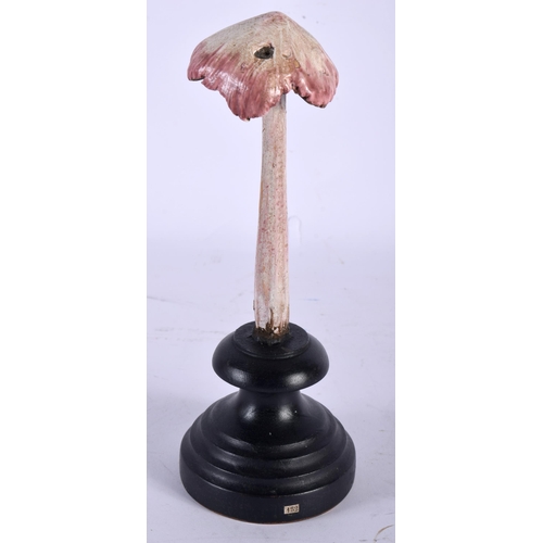 579 - A FOLK ART CARVED AND PAINTED WOOD MUSHROOM SPECIMEN. 21 cm high.