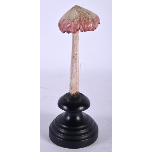 579 - A FOLK ART CARVED AND PAINTED WOOD MUSHROOM SPECIMEN. 21 cm high.