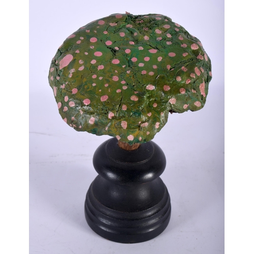 580 - A FOLK ART CARVED AND PAINTED WOOD MUSHROOM SPECIMEN. 21 cm high.