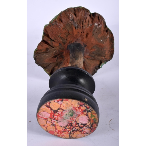 580 - A FOLK ART CARVED AND PAINTED WOOD MUSHROOM SPECIMEN. 21 cm high.