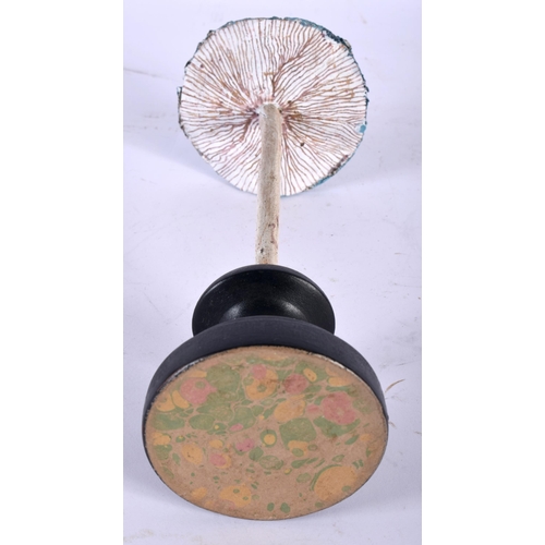 582 - A FOLK ART CARVED AND PAINTED WOOD MUSHROOM SPECIMEN. 21 cm high.