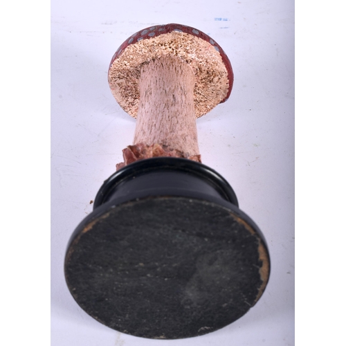 583 - A FOLK ART CARVED AND PAINTED WOOD MUSHROOM SPECIMEN. 21 cm high.