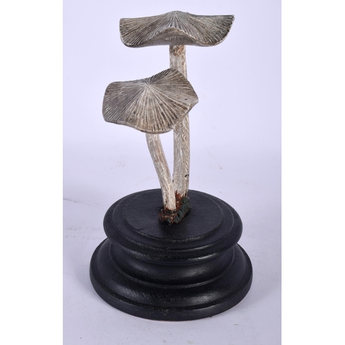 584 - A FOLK ART CARVED AND PAINTED WOOD MUSHROOM SPECIMEN. 17 cm high.