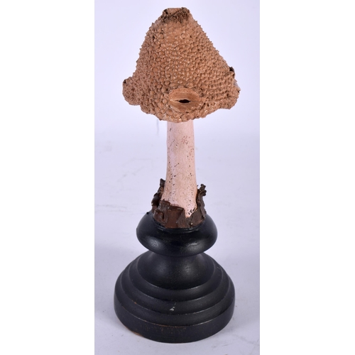 585 - A FOLK ART CARVED AND PAINTED WOOD MUSHROOM SPECIMEN. 20 cm high.