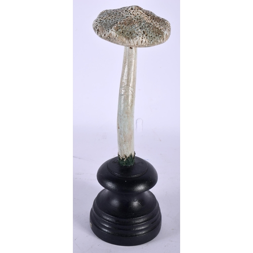 586 - A FOLK ART CARVED AND PAINTED WOOD MUSHROOM SPECIMEN. 23 cm high.