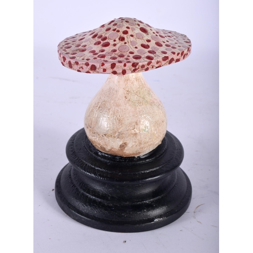 587 - A FOLK ART CARVED AND PAINTED WOOD MUSHROOM SPECIMEN. 14 cm high.