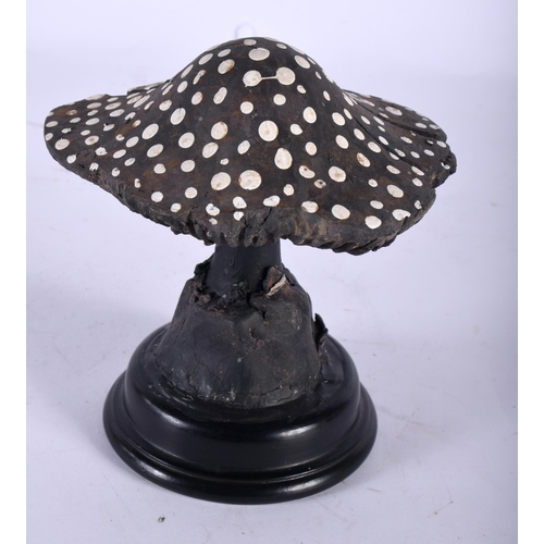 591 - A FOLK ART CARVED AND PAINTED WOOD MUSHROOM SPECIMEN. 14 cm high.