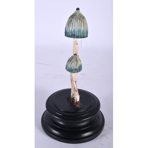 592 - A FOLK ART CARVED AND PAINTED WOOD MUSHROOM SPECIMEN. 18 cm high.