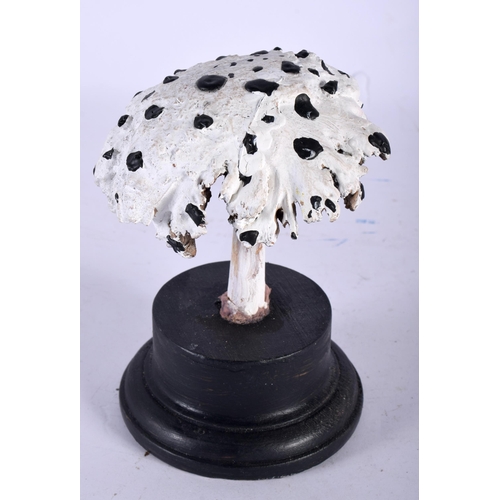 593 - A FOLK ART CARVED AND PAINTED WOOD MUSHROOM SPECIMEN. 14 cm high.