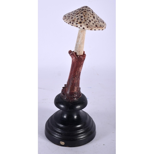 595 - A FOLK ART CARVED AND PAINTED WOOD MUSHROOM SPECIMEN. 14 cm high.